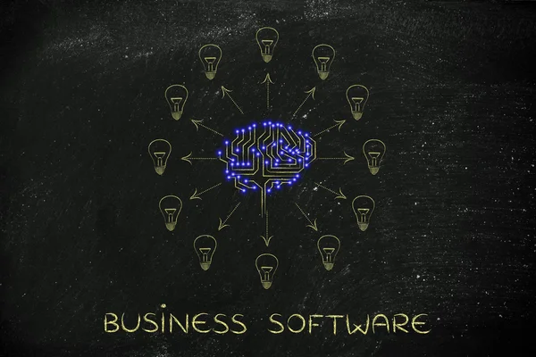 Concept of business software
