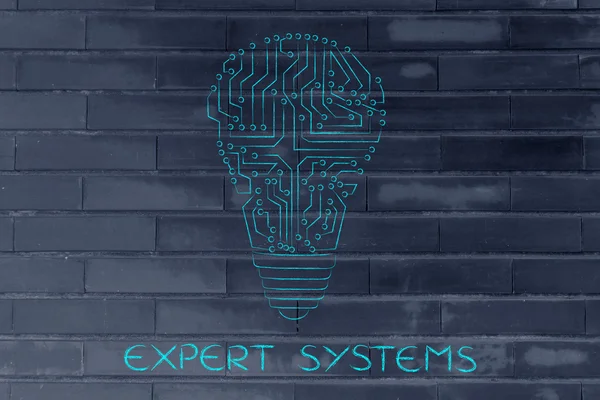 Concept of expert systems