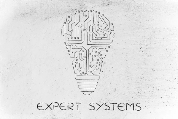 Concept of expert systems