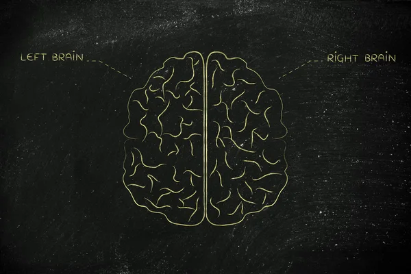 Left and right brain illustration