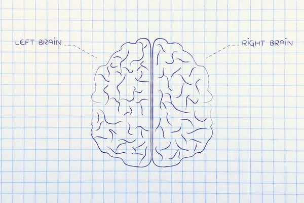 Left and right brain illustration