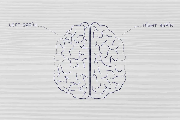 Left and right brain illustration