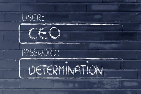 User CEO, password Determination