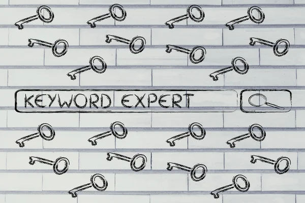Search engine bar with tags about Keyword experts