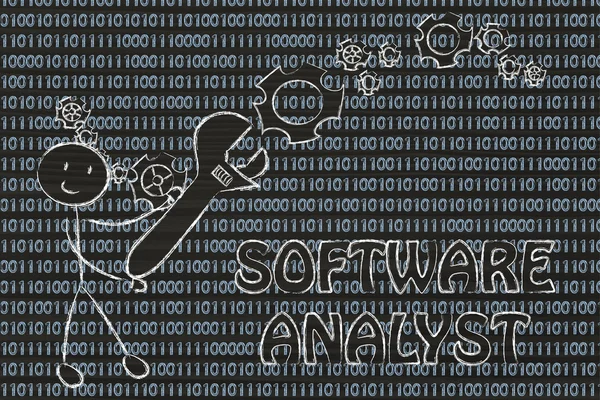 Being a software analyst