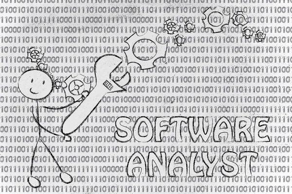 Being a software analyst