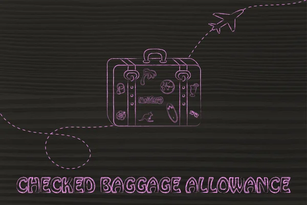 Concept of checked baggage allowance