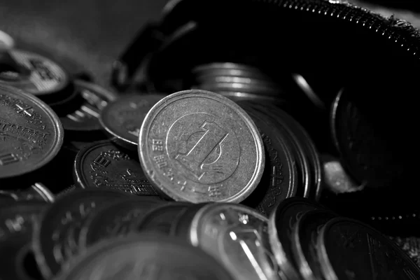 Japanese  coin  in  Coin Purse on black and white