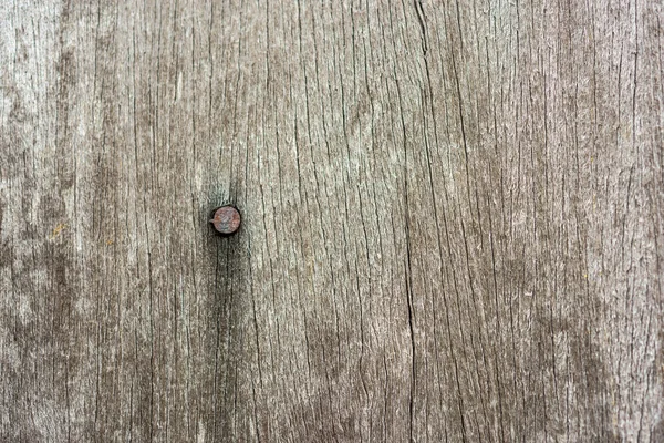 Rusty nail in wood plank with grain texture
