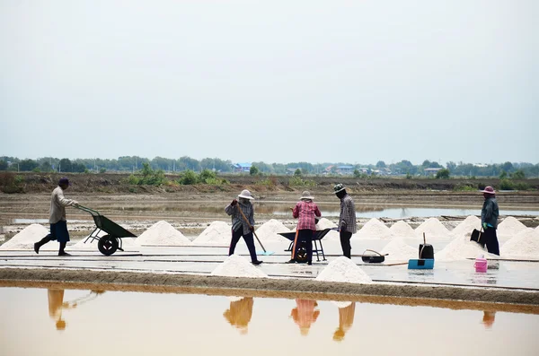 Thai people keeping salt from Salt farming