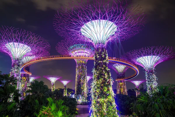 Magic garden at night, Singapore