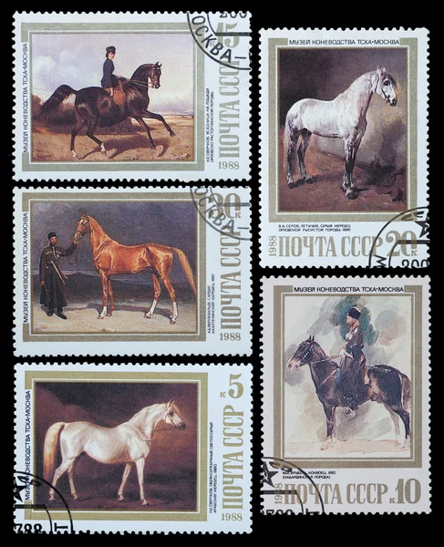 Horses