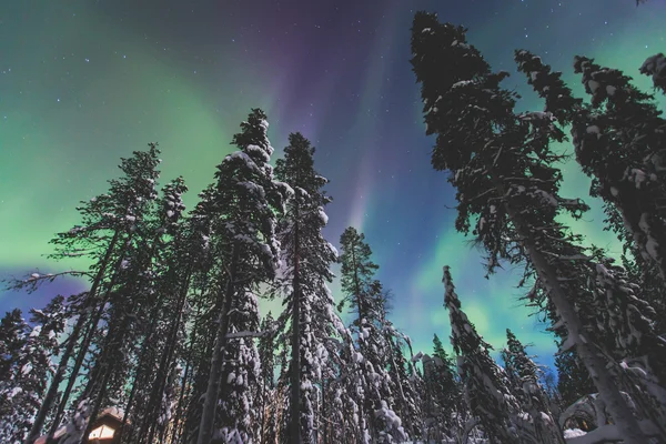 Beautiful picture of massive multicoloured green vibrant Aurora