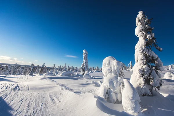 Beautiful cold mountain view of ski resort, sunny winter day with slope, piste and ski lift