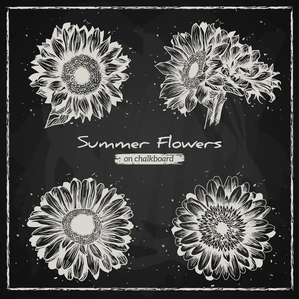 Stylish floral background, hand drawn retro flowers, gerbera and sunflower