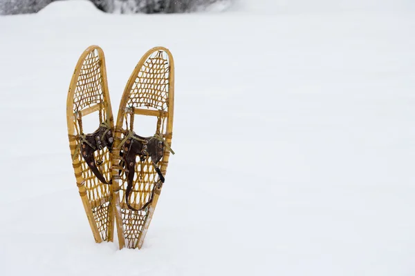 Snow shoes in the forest