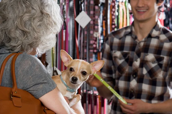 Woman and chihuahua in pet shop