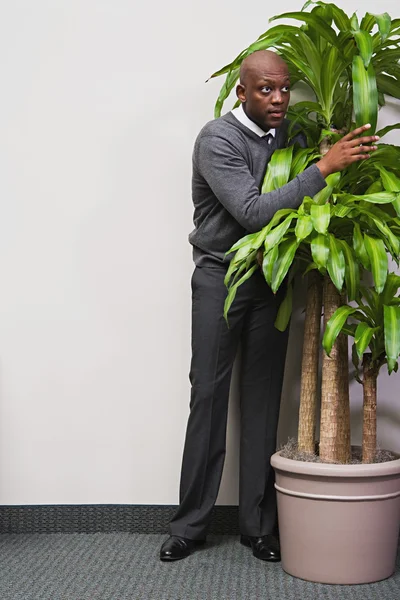 Businessman hiding behind office plant