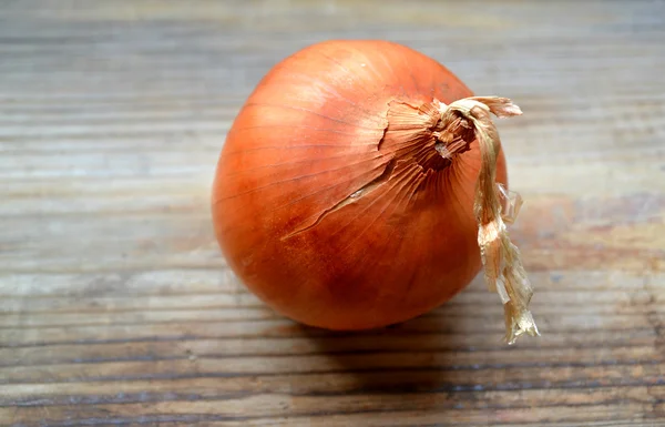 Big golden bulb onion with a small one on wooden table