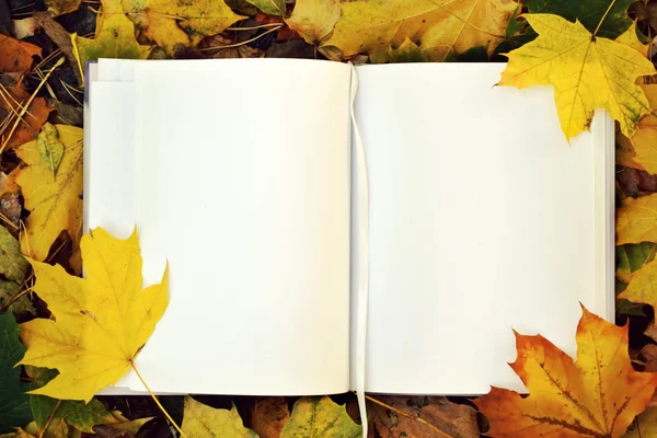 An empty notebook covered with autumn leaves