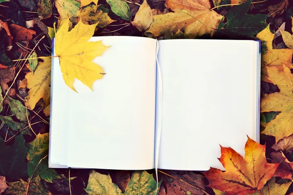 An empty notebook covered with autumn leaves