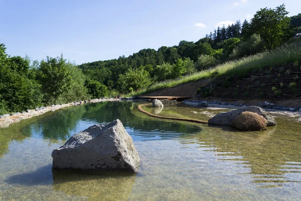 Natural swimming pond purifying water without chemicals through filters and plants