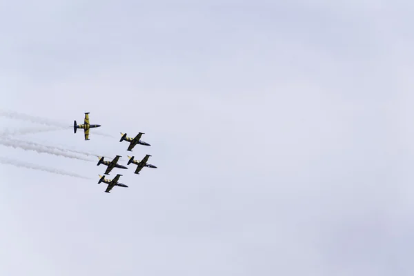 Baltic Bees Jet Team flying