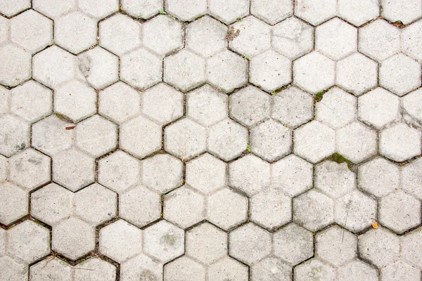 Stone pavement texture