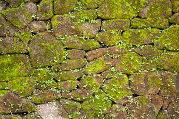 Mossy stones wall texture