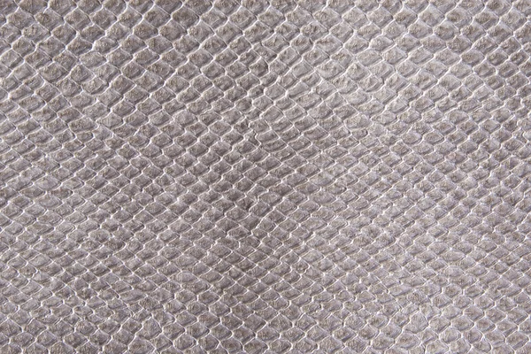 Reptile skin texture