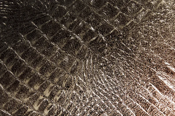 Reptile skin texture