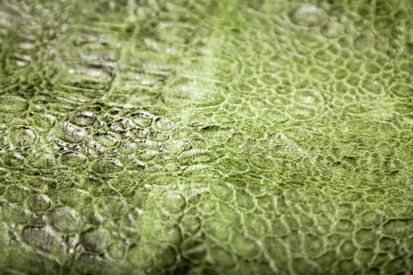 Reptile skin texture