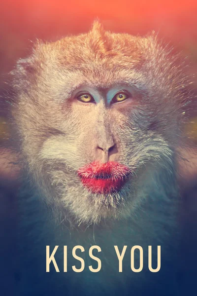 Funny monkey with big red lips