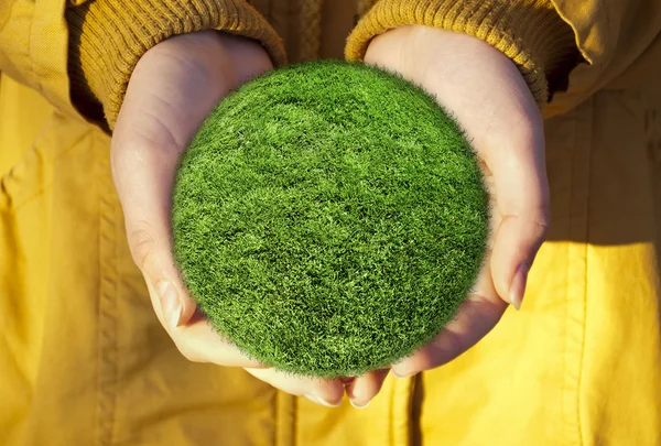 Green grass globe in hands