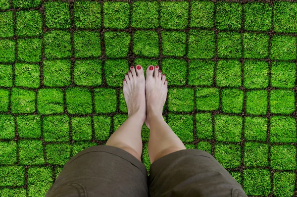 Female feet on the grass.