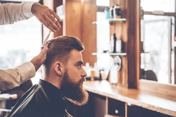 Bearded man getting haircut