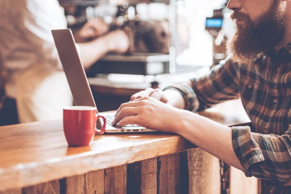 Bearded man using laptop