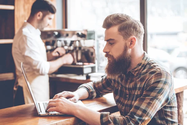 Bearded man using laptop