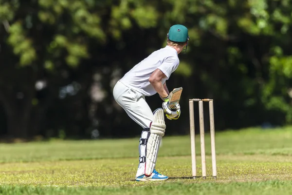 Cricket Batsman Ready