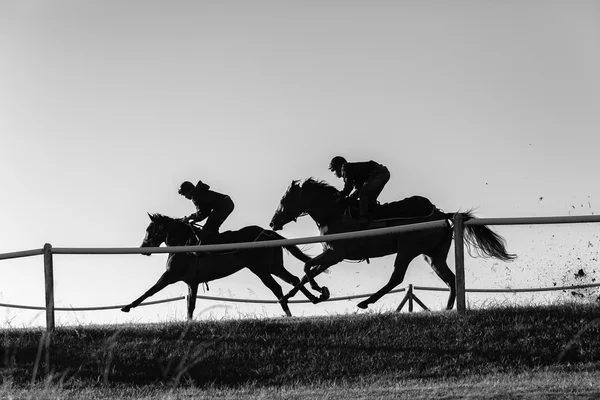 Race Horses Black White Silhouetted
