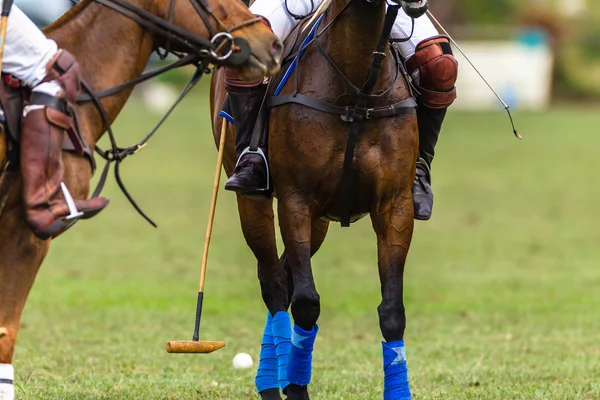 Polo Players Horse Game Action