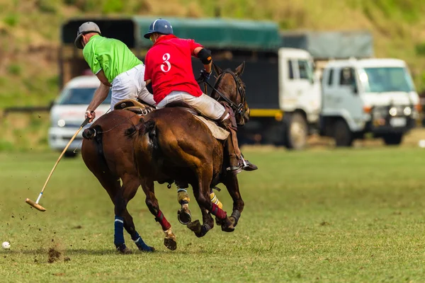 Polo Players Horses Game Action
