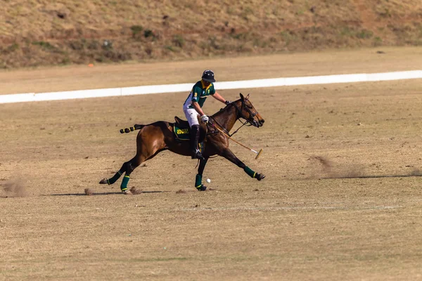 Equestrian Horse Riding