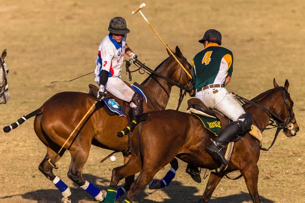 Equestrian Horse Riding