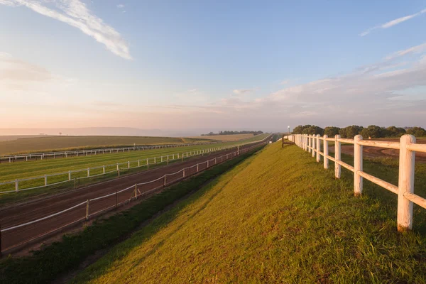 Horse Racing Track Grass
