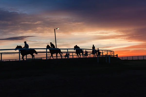 Horses Riders Silhouetted Sky Sunrise
