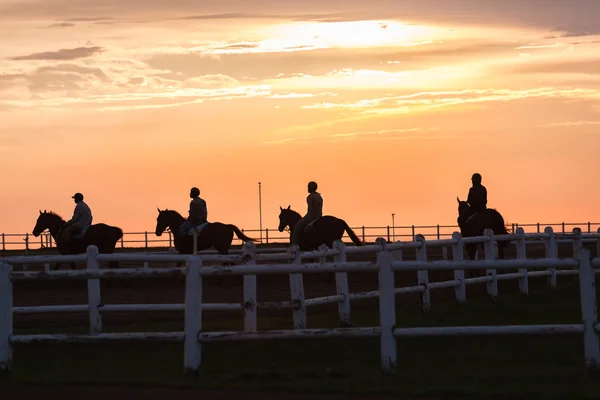 Race Horses Riders Silhouetted Morning