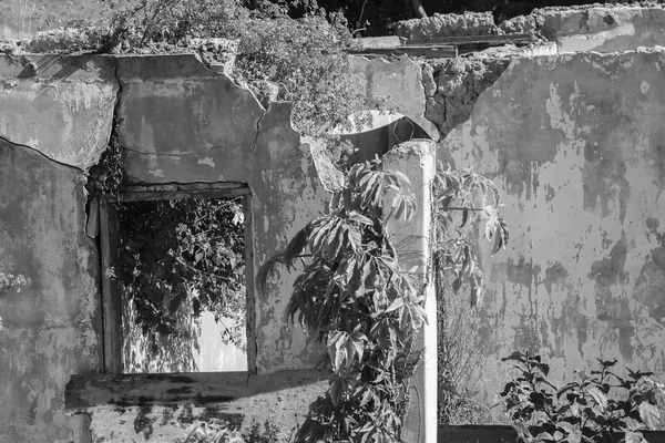 House Building Ruins Vintage