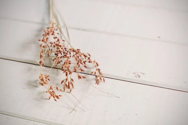 Bouquet of dried flowers on wooden background