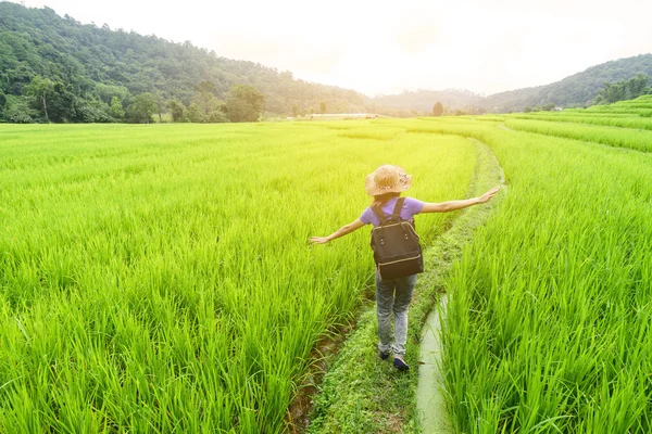 Woman traveler walking on green rice terraces field